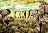 Ucok Durian Medan, Tempat Makan Durian Terkenal di Medan