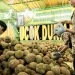 Ucok Durian Medan, Tempat Makan Durian Terkenal di Medan